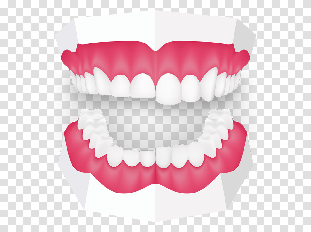 Tooth Grinding Toothbeary Mouth Guard Clipart, Teeth, Birthday Cake, Dessert, Food Transparent Png