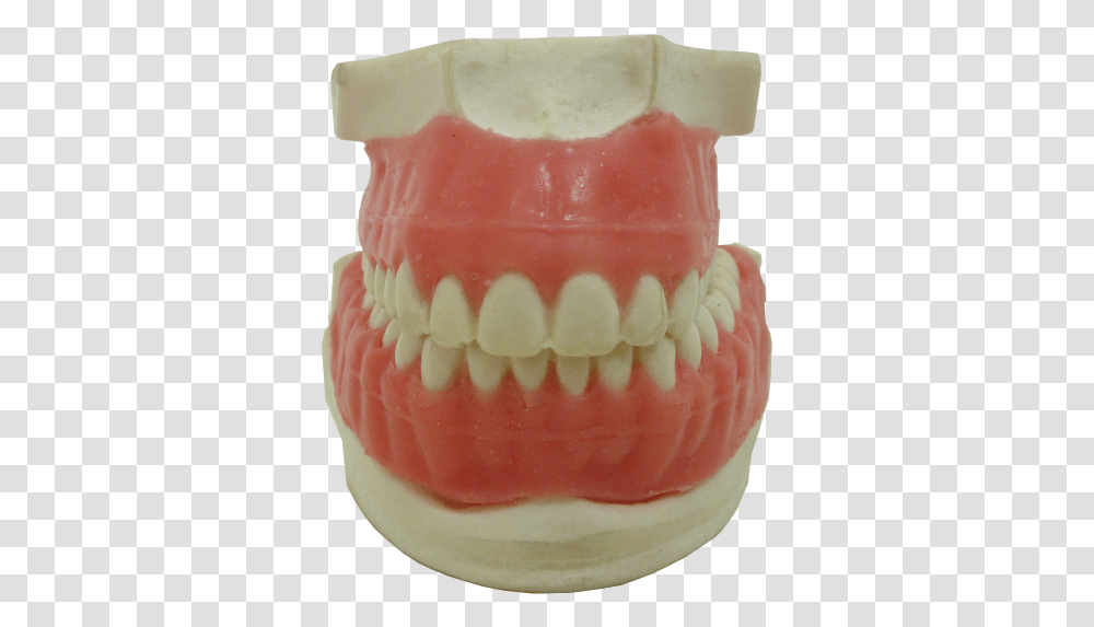 Tooth, Jaw, Teeth, Mouth, Lip Transparent Png