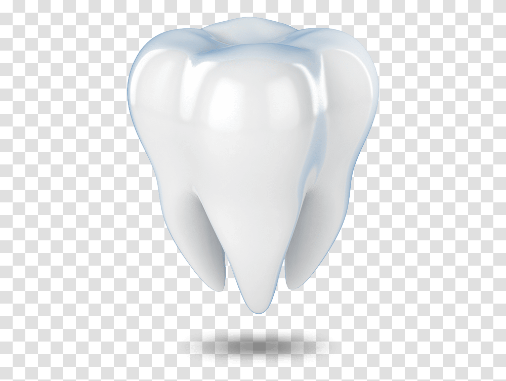 Tooth Model Waterford Ct Fang, Porcelain, Pottery, Light Transparent Png