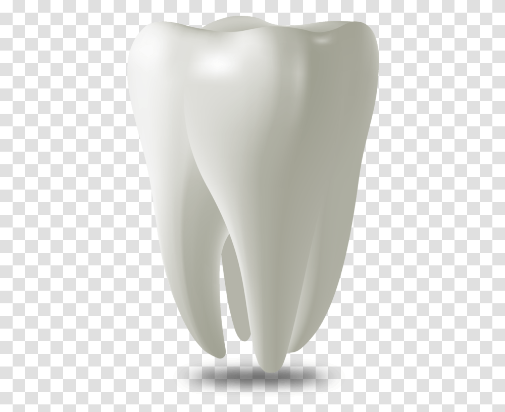 Tooth Model West Palm Beach Fl Wisdom Tooth, Lamp, Outdoors, Face Transparent Png