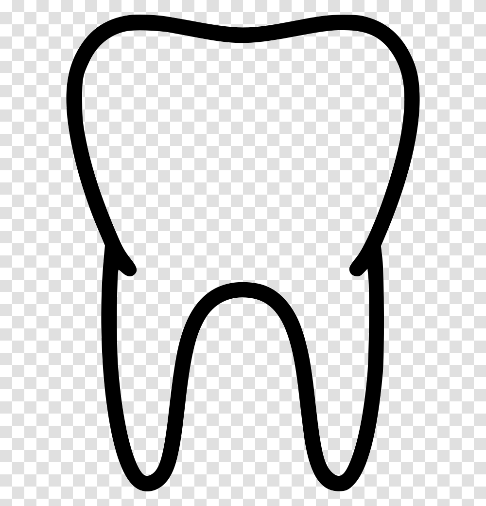 Tooth Teeth Healthy Biology Anatomy Medicine Medicine, Stencil, Bow, Chair, Leisure Activities Transparent Png