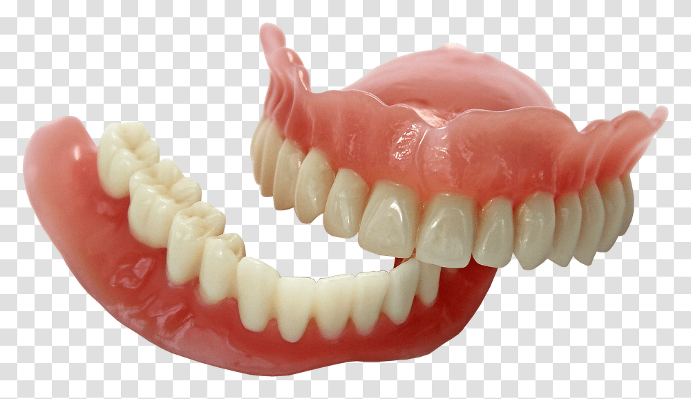 Tooth Vector Transparent Png