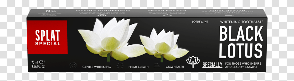 Toothpaste, Plant, Petal, Flower, Blossom Transparent Png
