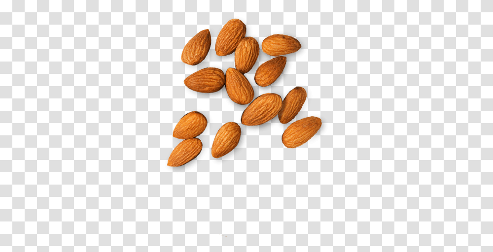 Top 10 Fat Food, Plant, Almond, Nut, Vegetable Transparent Png