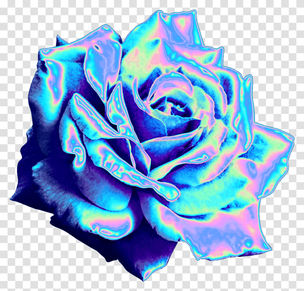 Top 10 Holographic Flowers Holographic Rose, Plant, Blossom, Petal Transparent Png