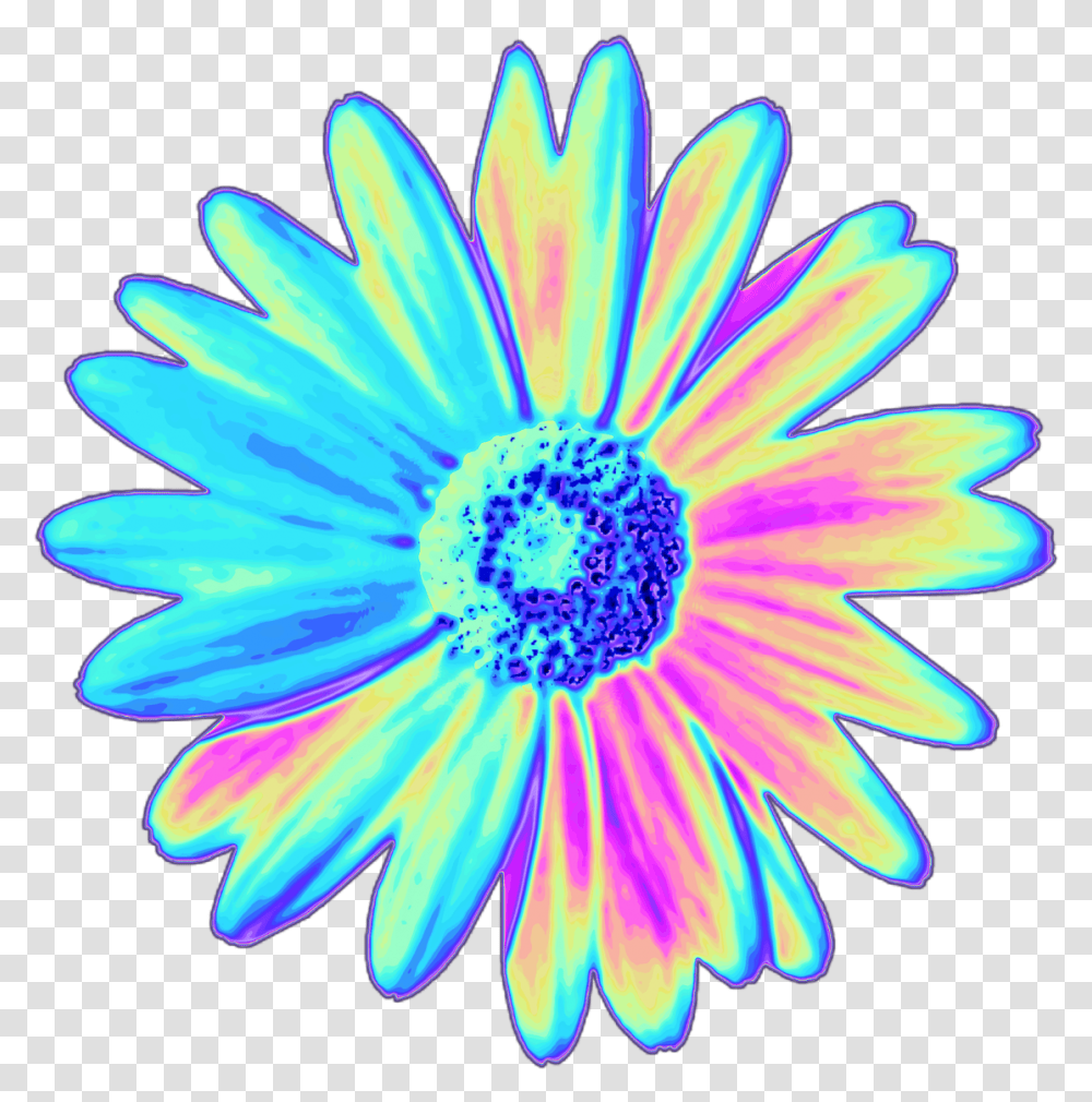 Top 10 Holographic Flowers These Stickers And So Much Stickers Picsart, Light, Purple, Plant, Daisy Transparent Png