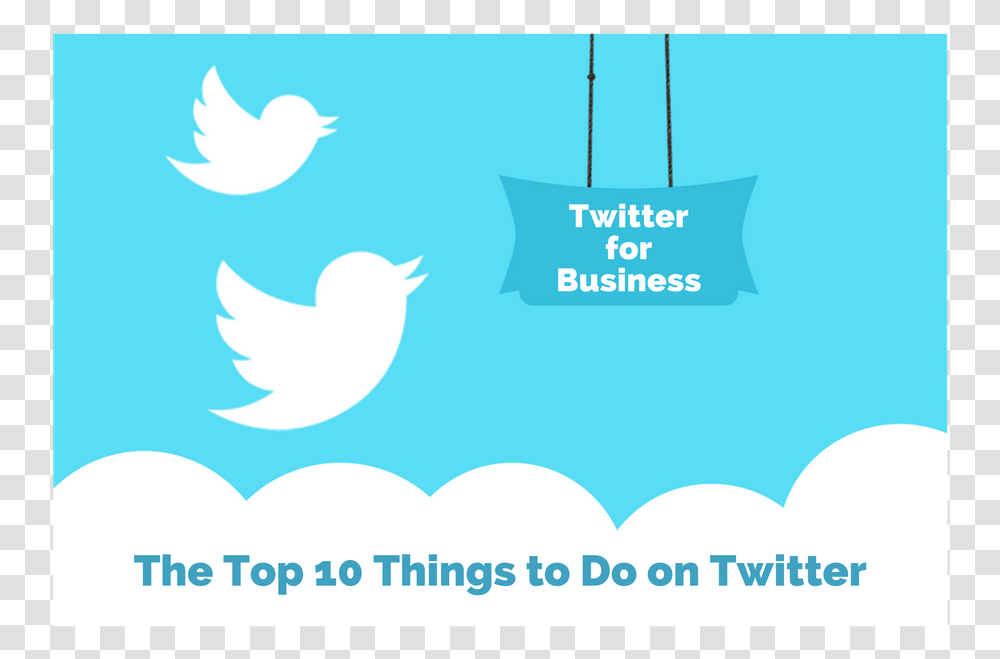 Top 10 Things To Do On Twitter Graphic New Followers Twitter, Poster, Advertisement, Logo Transparent Png
