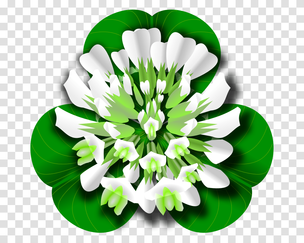 Top 23 Free Clover Flower Images Free White Clover Clipart, Plant, Pattern, Graphics, Floral Design Transparent Png