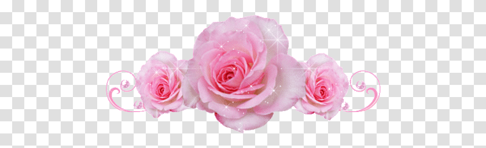 Top 30 Glitter Gifs Pink Glitter Rose Gif, Flower, Plant, Blossom, Petal Transparent Png