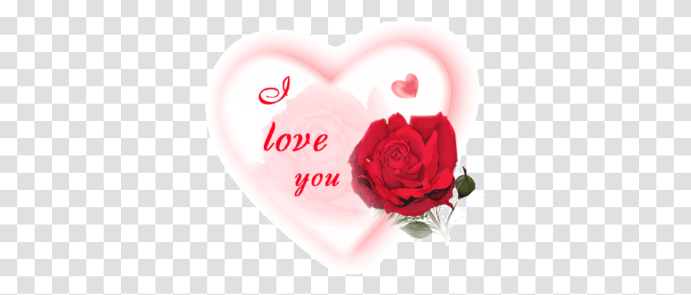 Top 30 Roses Heart Gifs Love You Love, Flower, Plant, Blossom Transparent Png