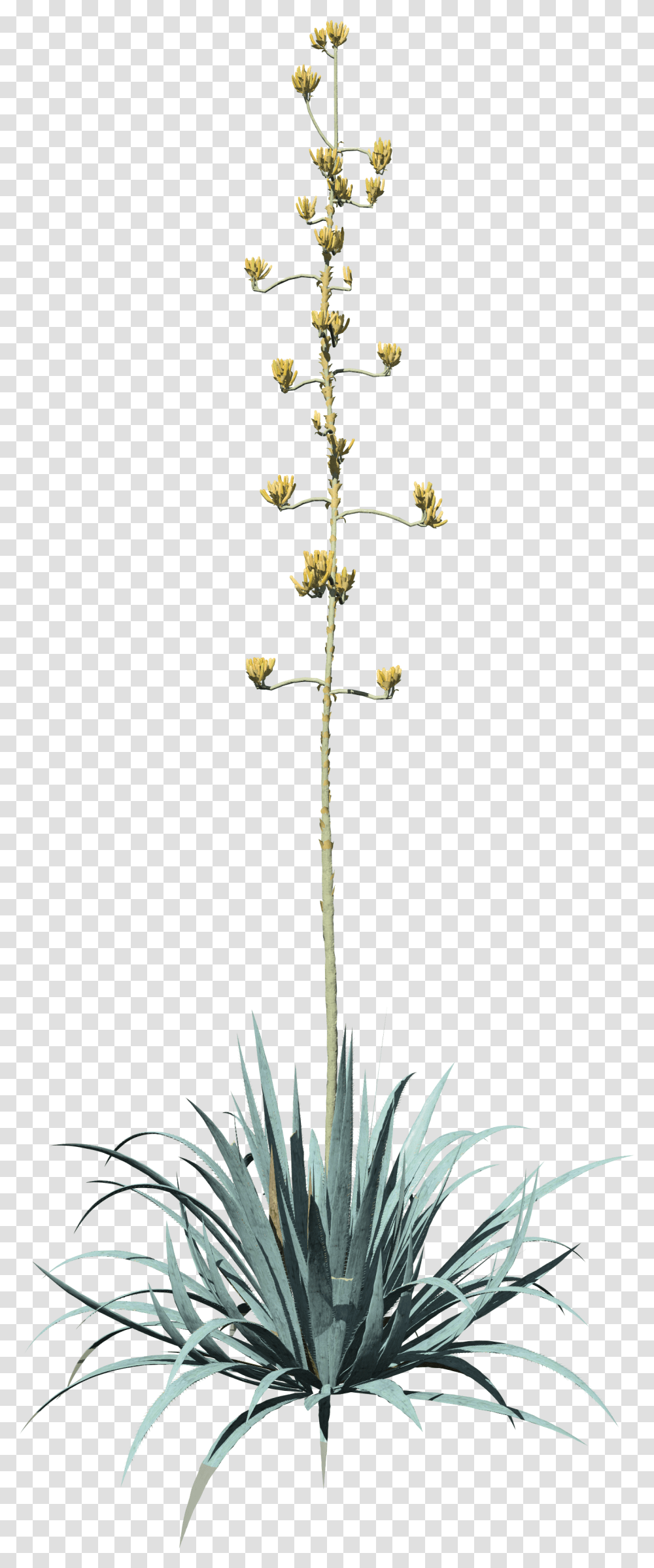 Top 5 Artist Spotlights July 2020 - Speedtree Vertical, Plant, Flower, Blossom, Floral Design Transparent Png