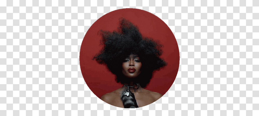Top Afro Hair Stickers For Android & Ios Gfycat Painting, Person, Human Transparent Png