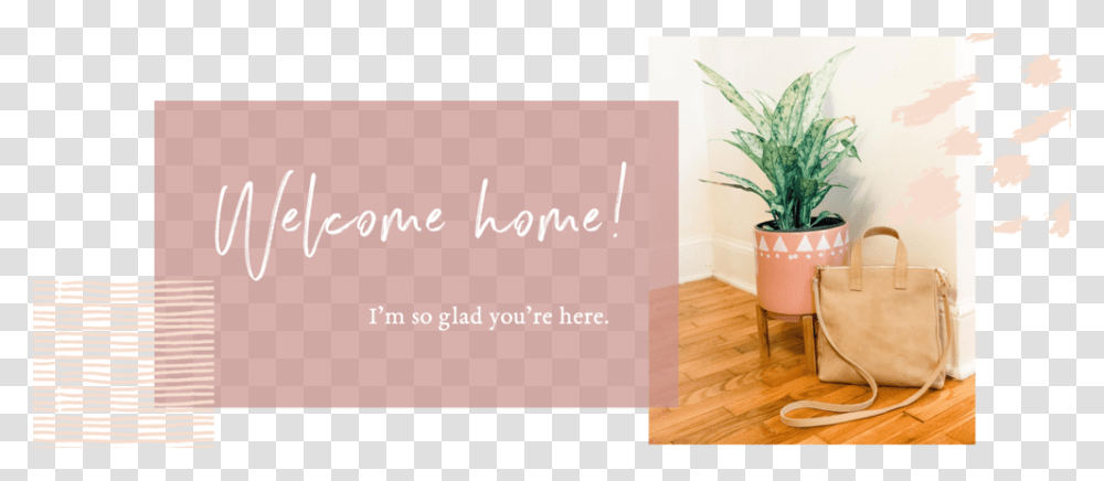 Top Banner, Business Card, Plant, Potted Plant Transparent Png