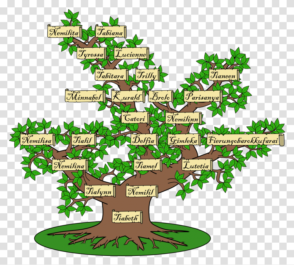 Top Clicks Links Family Tree 1070x958 Clipart Download Family Tree Clara Barton Family, Map, Diagram, Plot, Vegetation Transparent Png