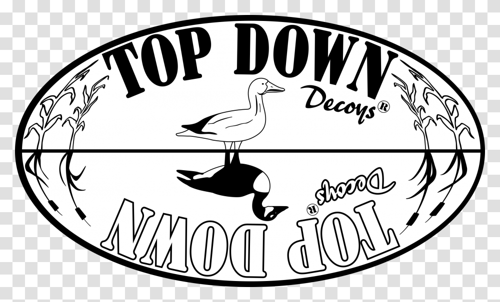 Top Down Decoys Goose Decoys Reversible Goose Decoys Duck, Bird, Animal, Label Transparent Png