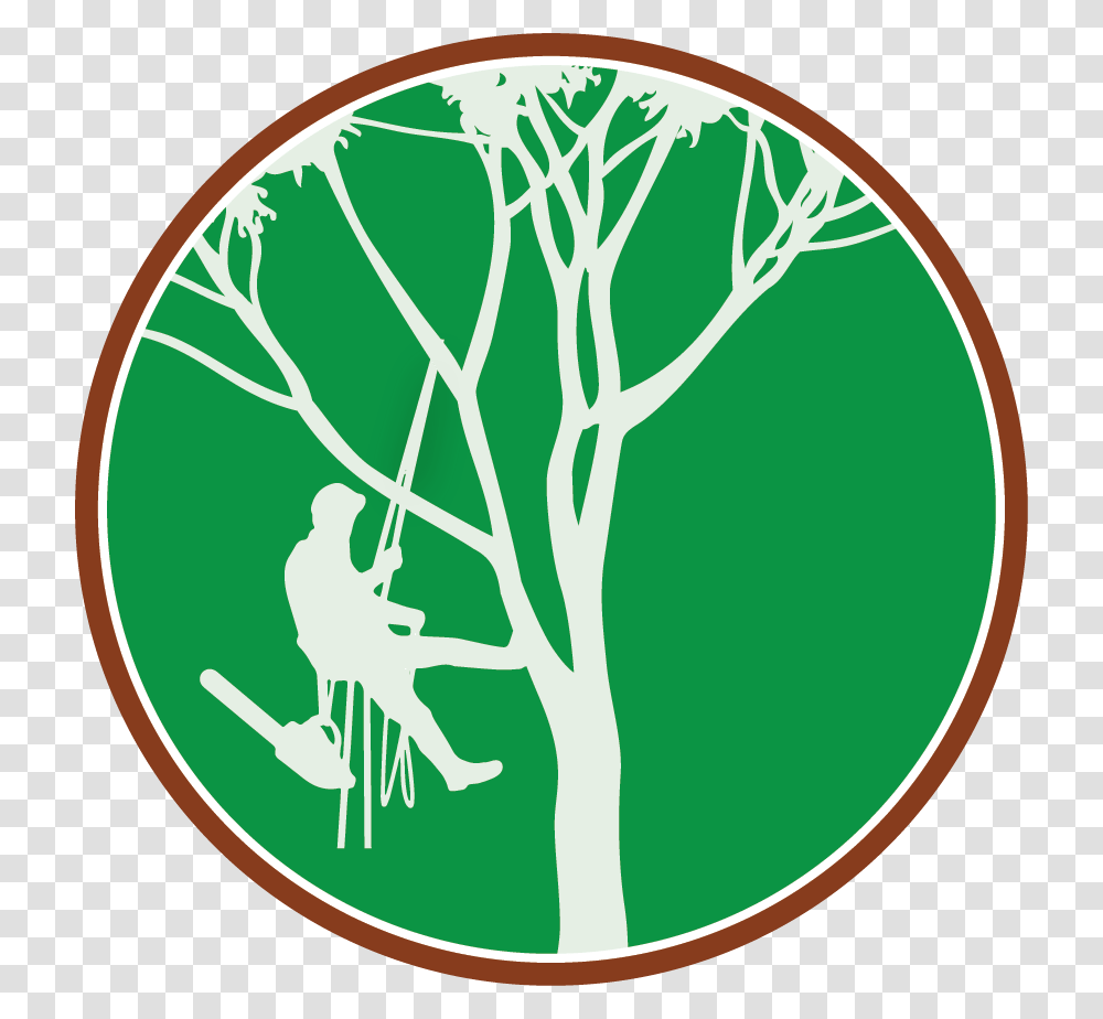 Top Down Lawn Tree Care Tree Climber Clipart, Plant, Vegetable, Food, Pattern Transparent Png