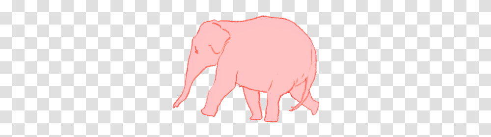 Top Elephant Penis Stickers For Android & Ios Find The Animated Gif Walking Elephant, Mammal, Animal, Wildlife, Aardvark Transparent Png