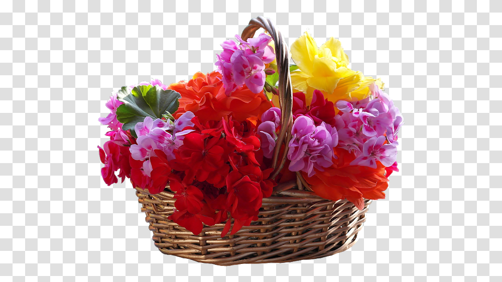 Top Flower Images For Whatsapp And Facebook Flower, Plant, Blossom, Flower Bouquet, Flower Arrangement Transparent Png