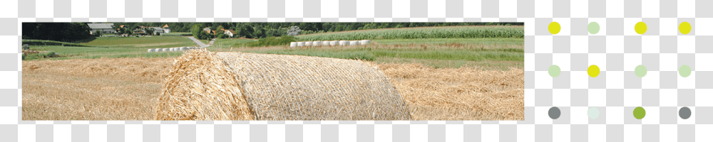 Top Image Field, Nature, Outdoors, Countryside, Harvest Transparent Png