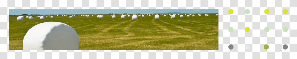 Top Image Lawn, Grass, Plant, Field, Nature Transparent Png