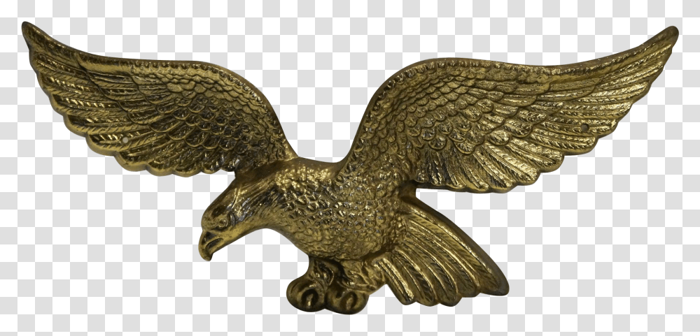 Top Images For American Brass Eagle Plaque On Picsunday Red Tailed Hawk, Bronze, Dinosaur, Animal, Statue Transparent Png