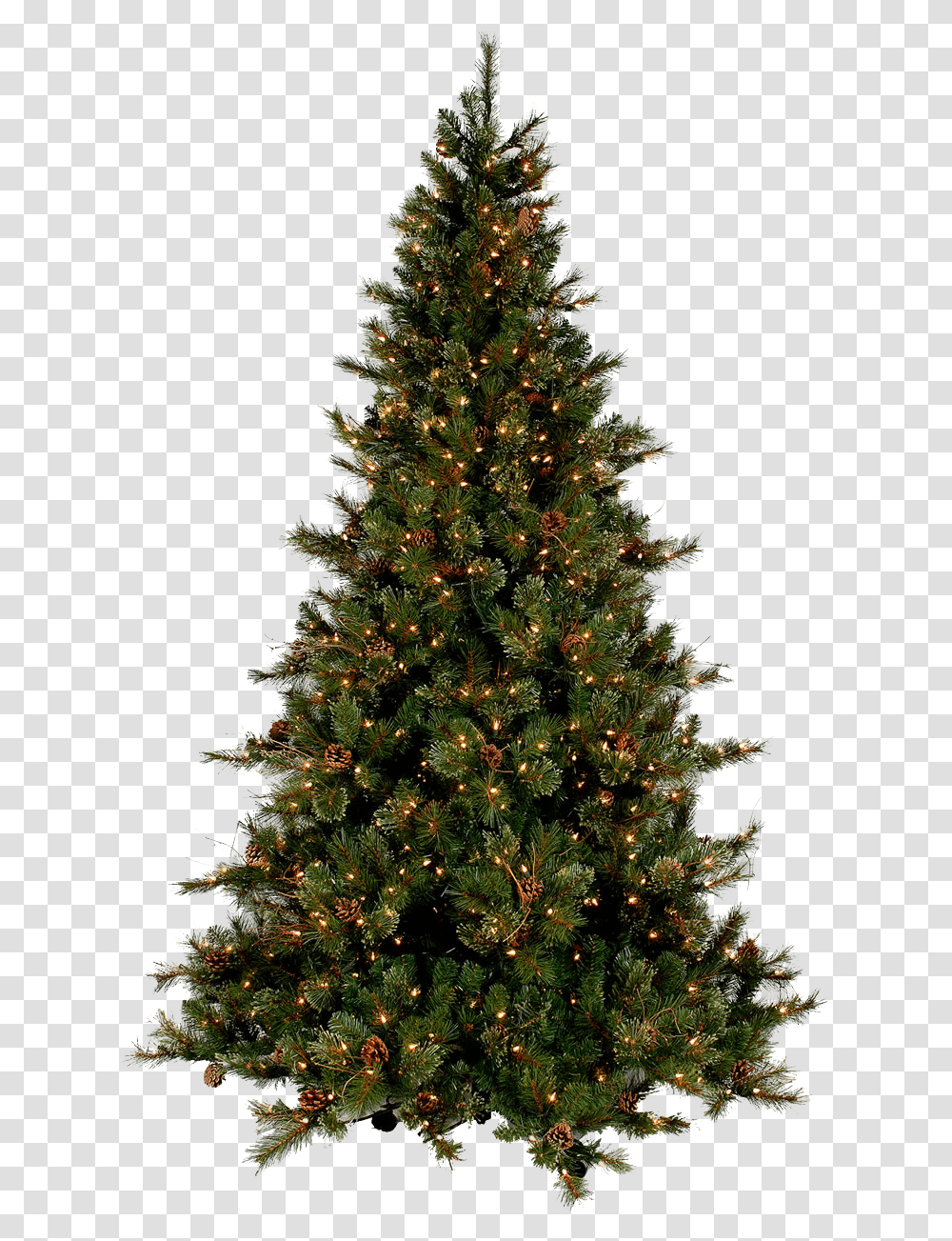Top Of Christmas Tree, Ornament, Plant, Pine, Conifer Transparent Png