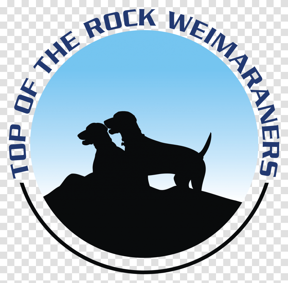 Top Of The Rock Weimaraners Longdog, Photography, Pet, Canine, Animal Transparent Png