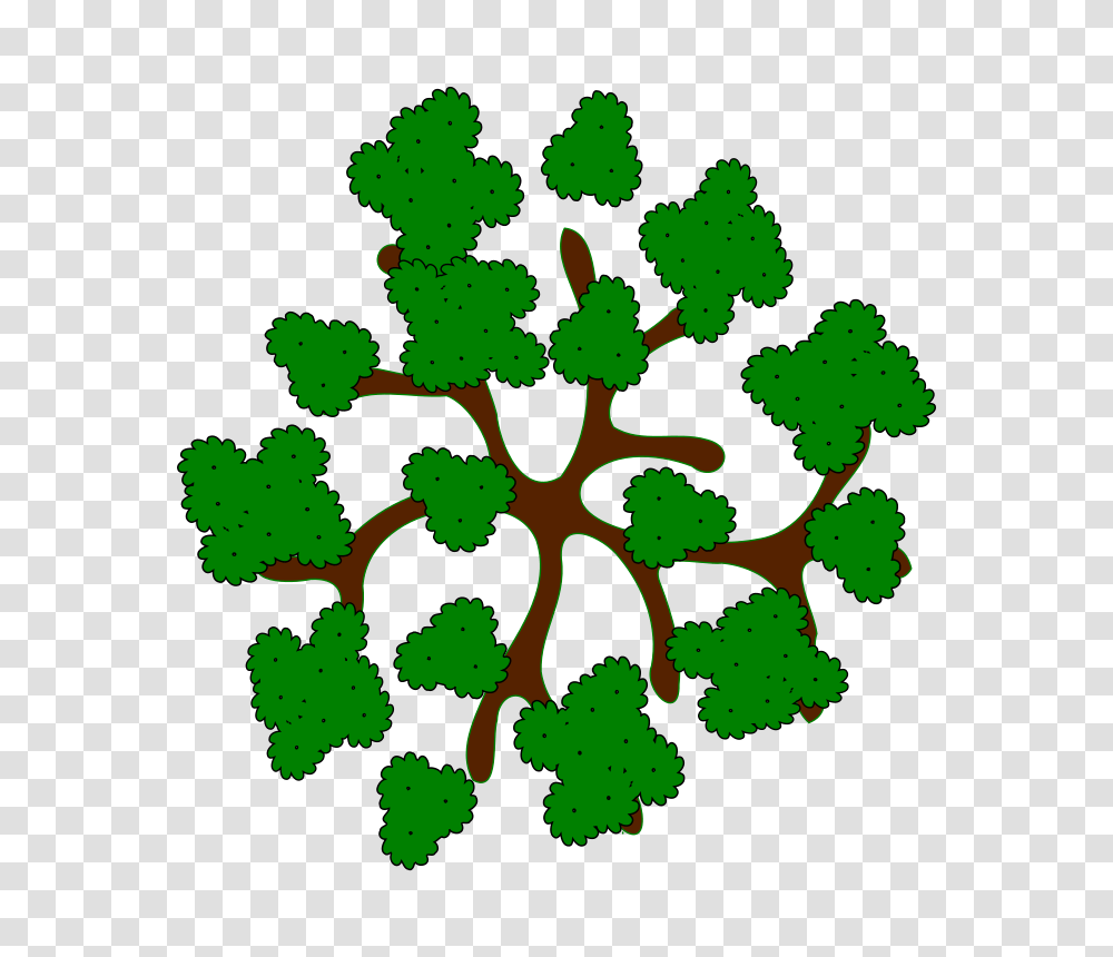 Top Of Tree Clipart Clip Art Images, Green, Plant, Painting Transparent Png