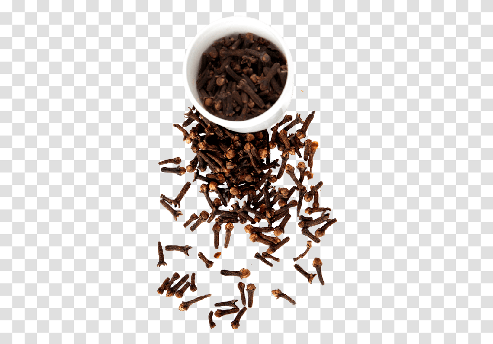 Top Quality Fresh Ceylon Spices Cloves From Sri Lanka Clove, Wood, Tobacco, Coffee Cup, Soil Transparent Png