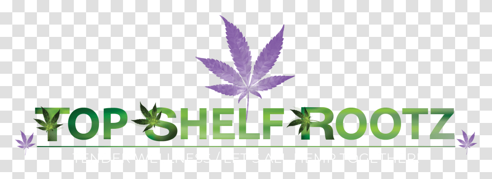Top Shelf Rootz Emblem, Leaf, Plant, Weed, Hemp Transparent Png