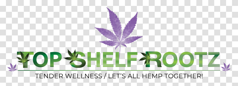 Top Shelf Rootz, Leaf, Plant, Weed, Hemp Transparent Png