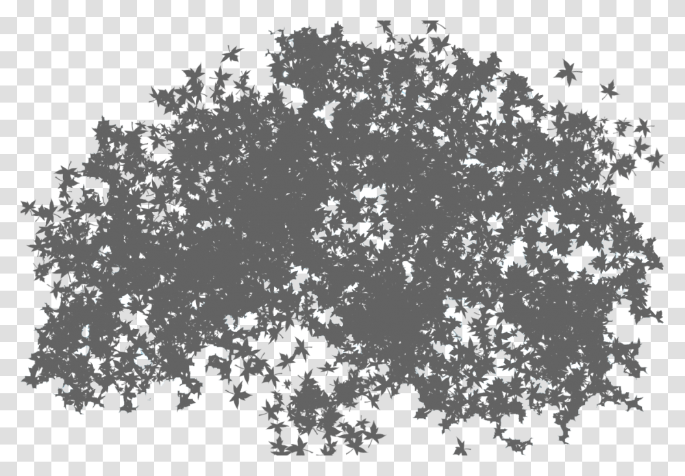 Top Tree Available In Different Size Trees Shadow File Transparent Png