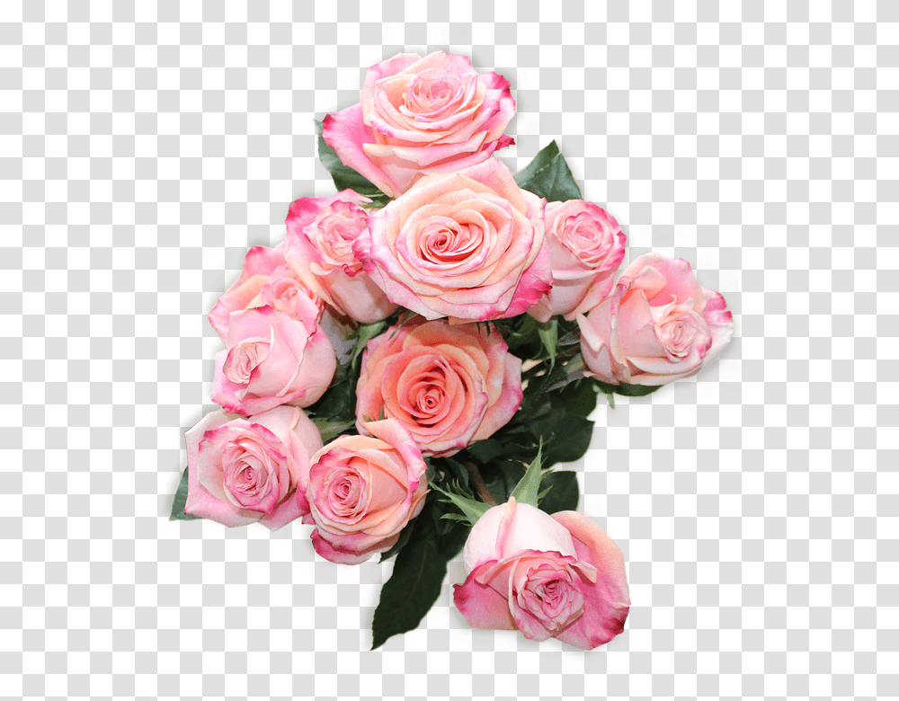 Top View 960, Flower, Plant, Flower Bouquet, Flower Arrangement Transparent Png