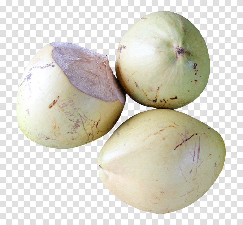 Top View Of Coconut Image, Vegetable, Plant, Food, Onion Transparent Png