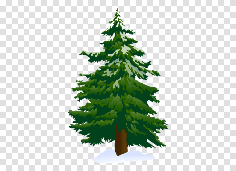Top View Of Pine Tree High Res Free Pine Tree Clipart, Plant, Ornament, Christmas Tree, Fir Transparent Png
