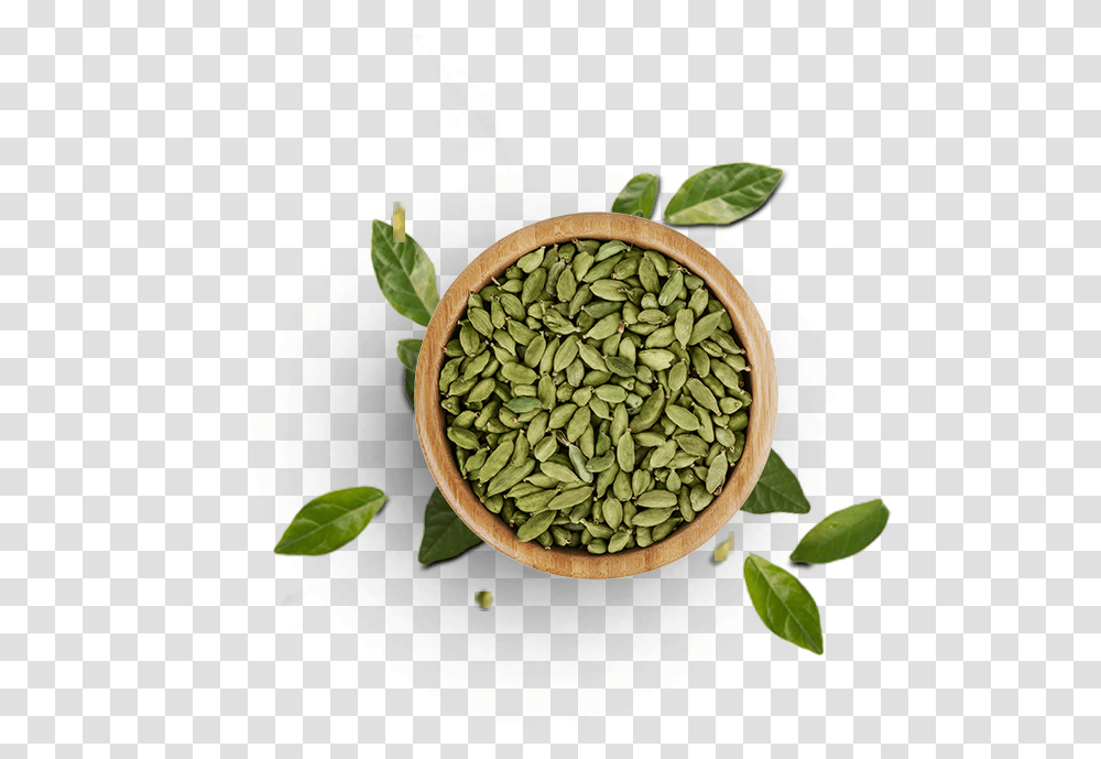 Top View Of Tree Cardamom View Top Herb Cardamom Top View, Plant, Green, Potted Plant, Vase Transparent Png
