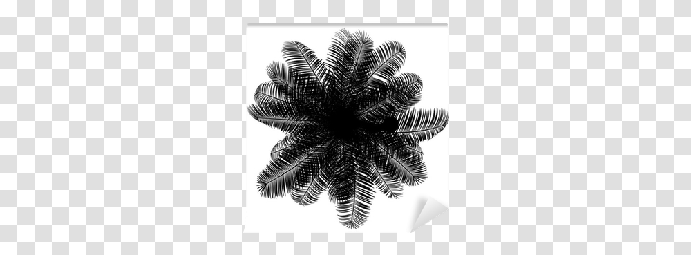 Top View Silhouette Of Coconut Palm Tree Isolated Top View Palm Tree Silhouette, Pattern, Ornament, Fractal, Fern Transparent Png