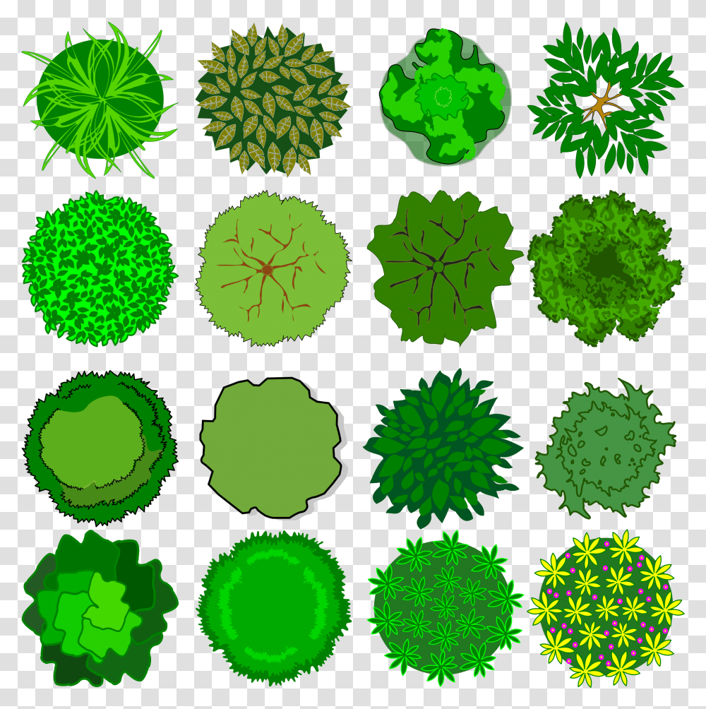 Top View Tree Clipart, Green, Rug, Pattern, Purple Transparent Png