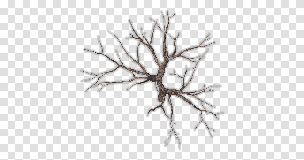 Top View Tree, Nature, Outdoors, Ice, Snow Transparent Png