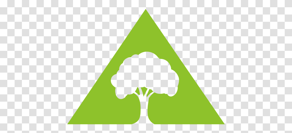 Top View Tree Tree And Stump Services, Triangle, Plant Transparent Png