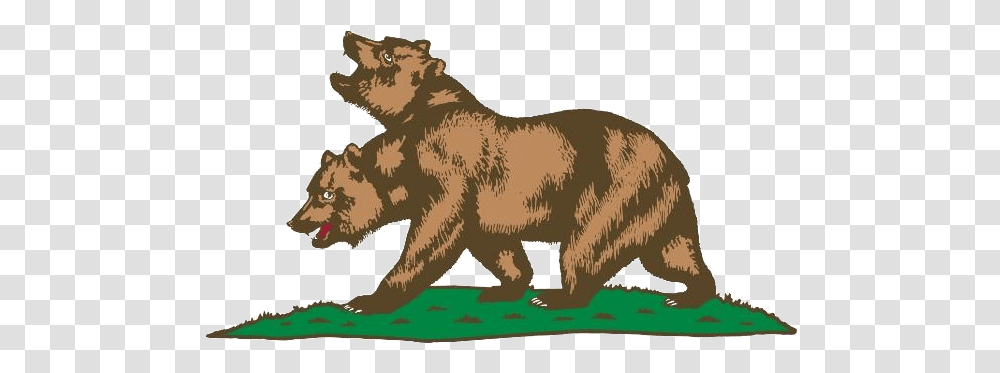 Topic Fallout Nv Changeorg Flag California Grizzly Bear, Brown Bear, Wildlife, Mammal, Animal Transparent Png