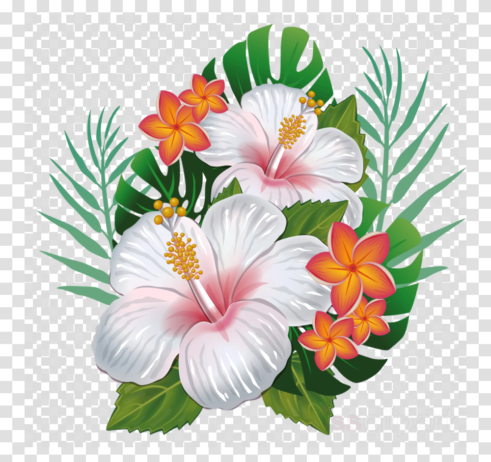 Topo De Bolo Flamingo Para Imprimir, Plant, Hibiscus, Flower, Blossom Transparent Png