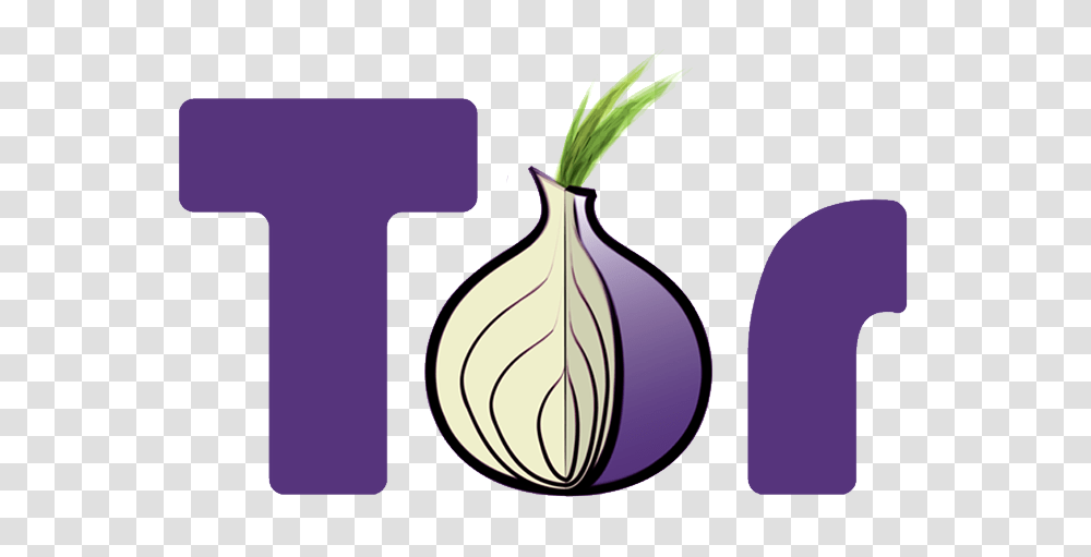 Tor Usage Up, Potted Plant, Vase, Jar, Pottery Transparent Png