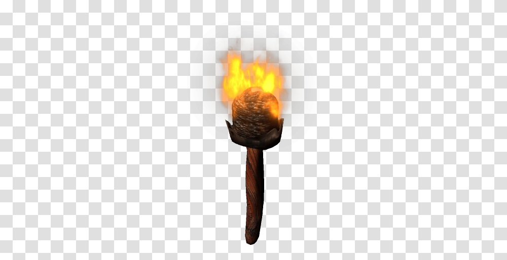 Torch Fire Stick Burning Freetoedit Portable Network Graphics, Light, Flame, Person, Human Transparent Png
