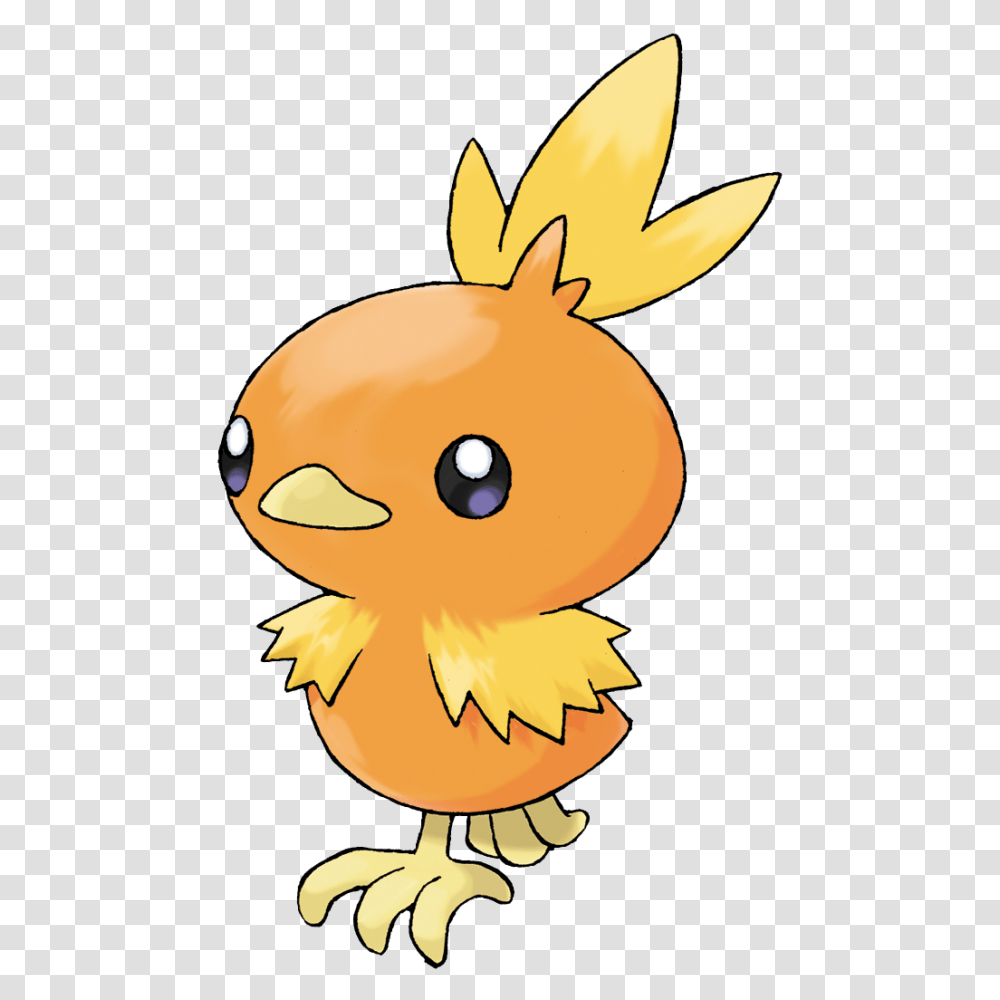 Torchic, Animal, Bird, Poultry, Fowl Transparent Png