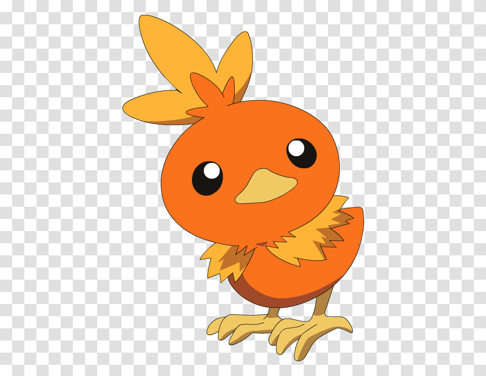 Torchic Fire Pokemon Torchic, Animal, Bird, Angry Birds, Plant Transparent Png