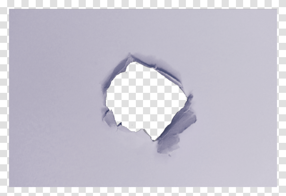 Torn Hole Paper Blue Cheese, Bird, Animal Transparent Png
