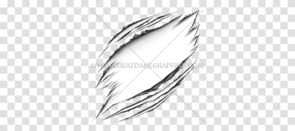 Torn Shirt Monochrome, Bow, Animal, Plant, Food Transparent Png