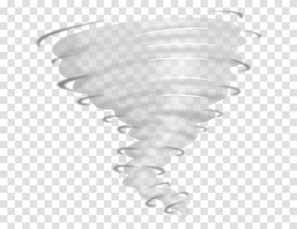 Tornado Clip Art Tornado, Bird, Animal, Outdoors, Water Transparent Png