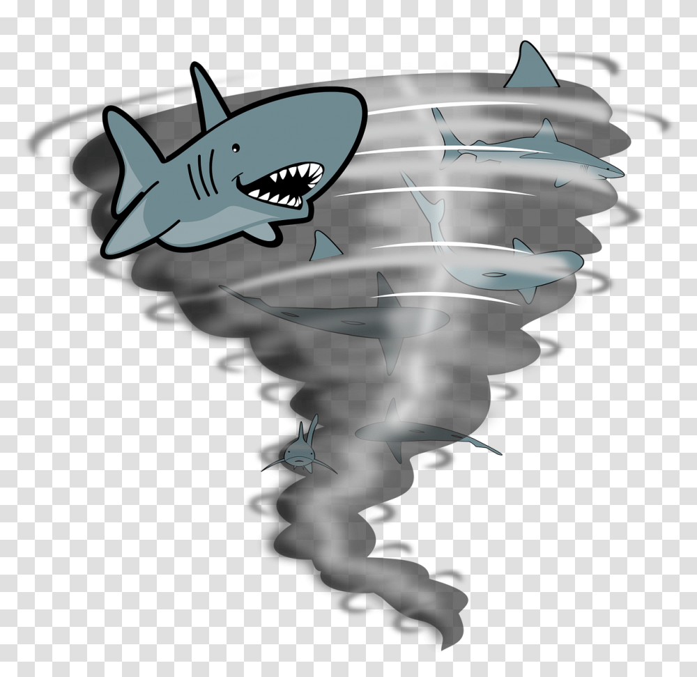 Tornado Sharks Weather Storm Fish Rain Dangerous Tornado Silhouette, Animal, Outdoors, Seagull, Bird Transparent Png